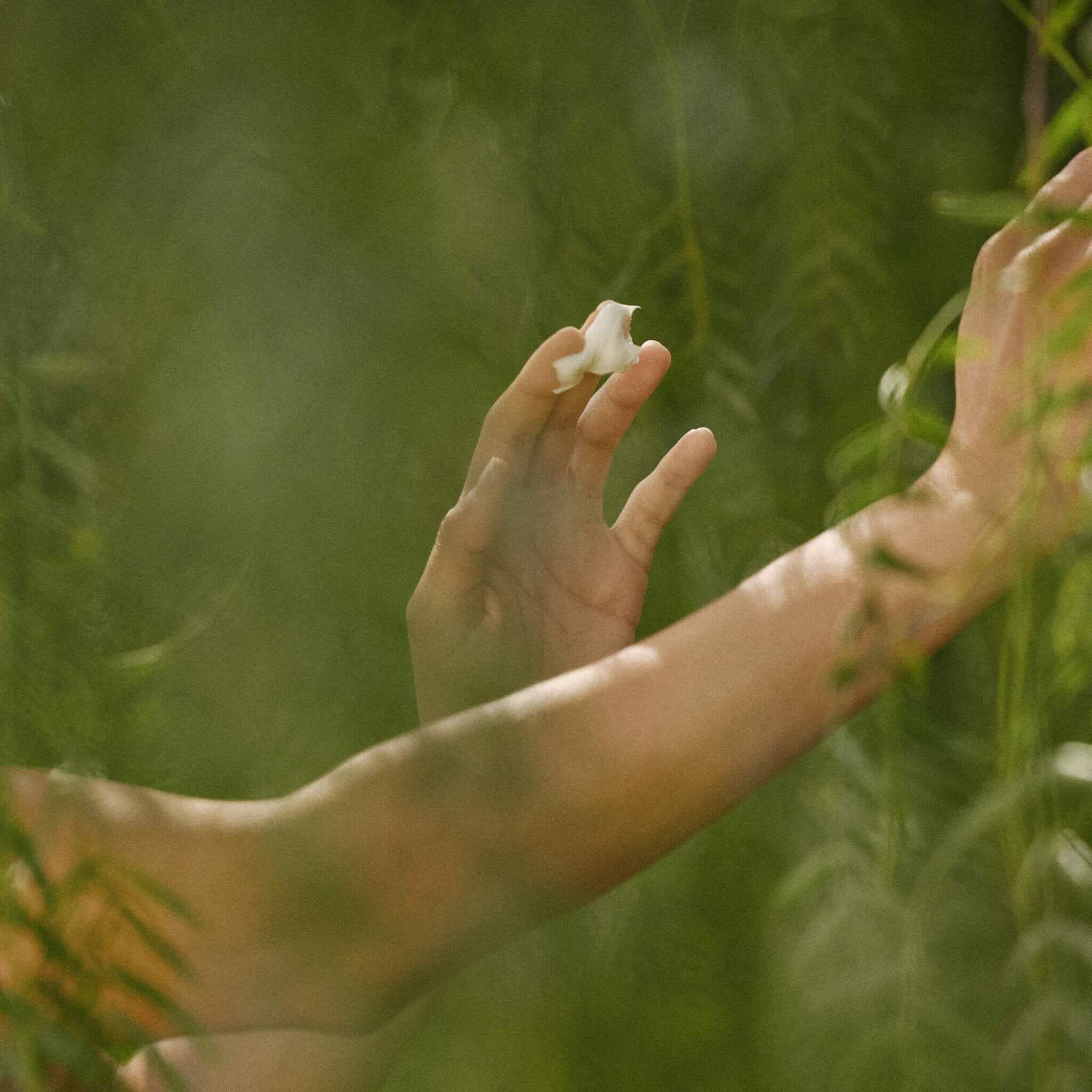 Peachy Keen Body Butter - LALICIOUS