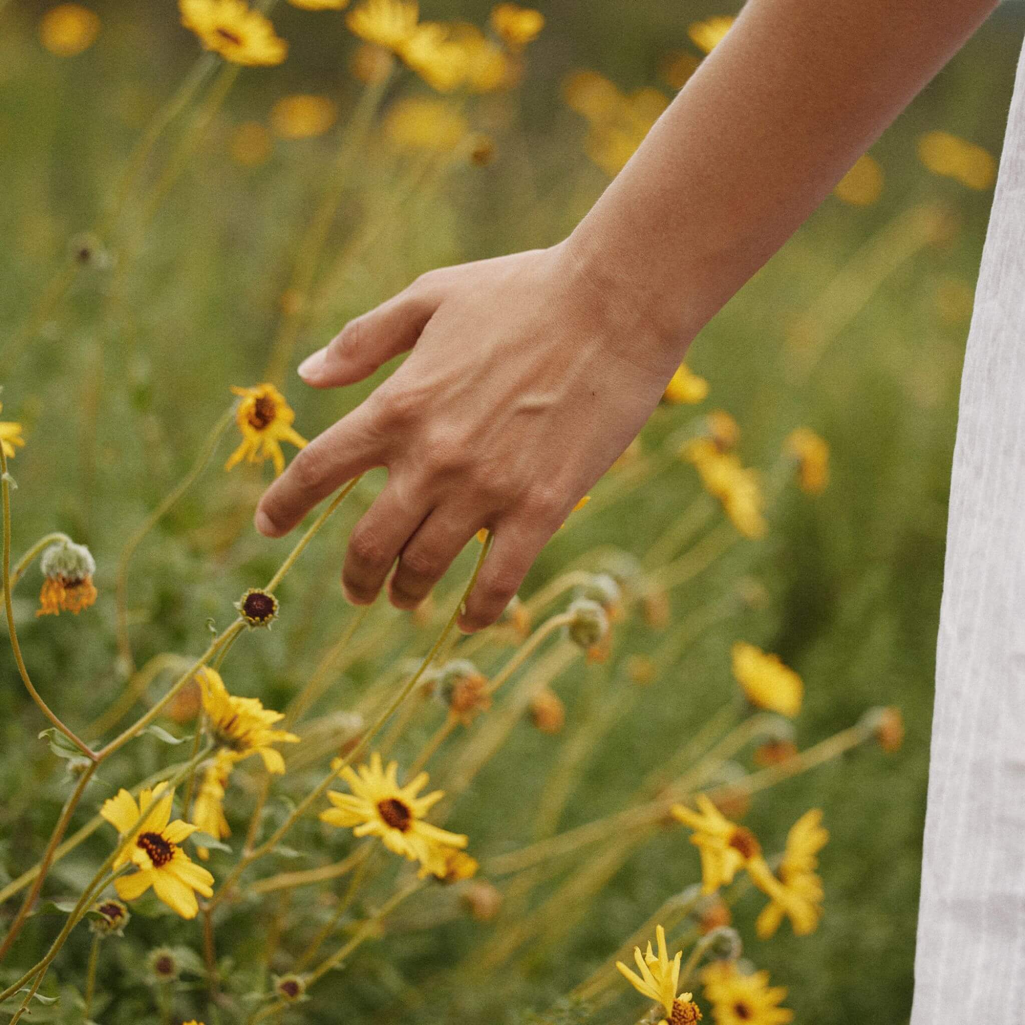 Peachy Keen Body Oil - LALICIOUS